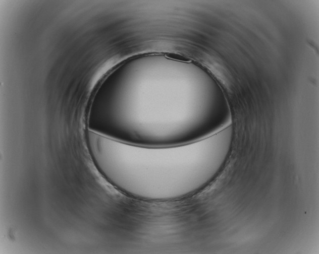 X0000097820944200803140803