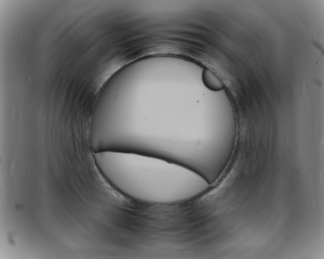 X0000097820945200803140803