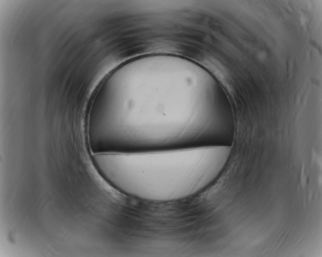 X0000097820947200803140803