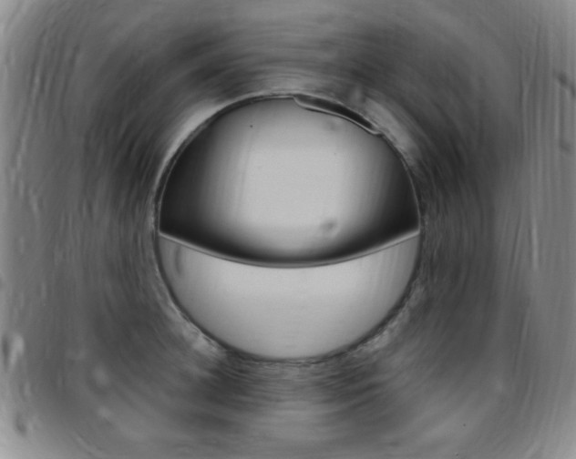 X0000097820948200803140803