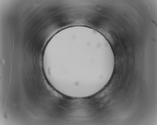X0000097820950200803140803