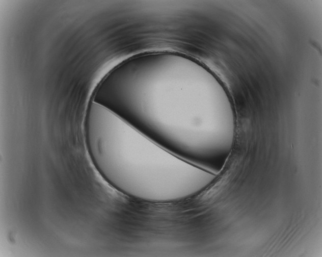 X0000097820951200803140803