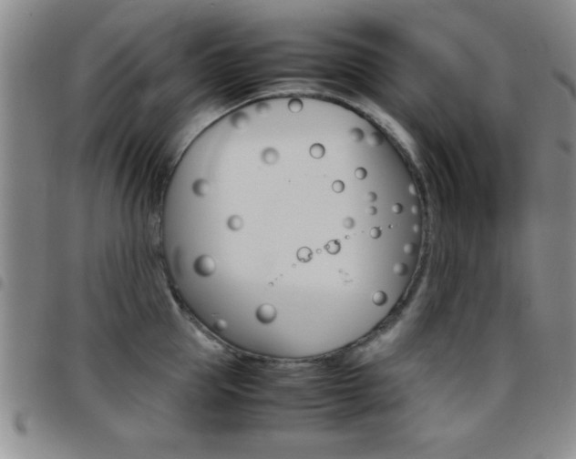 X0000097820953200803140803