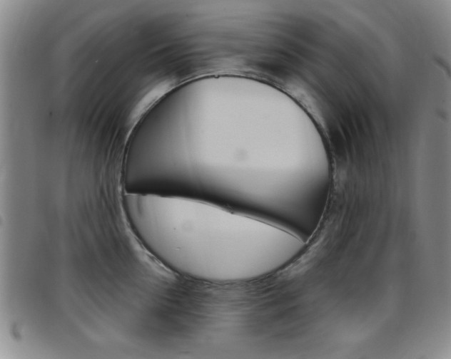X0000097820954200803140803