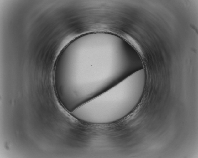 X0000097820958200803140803