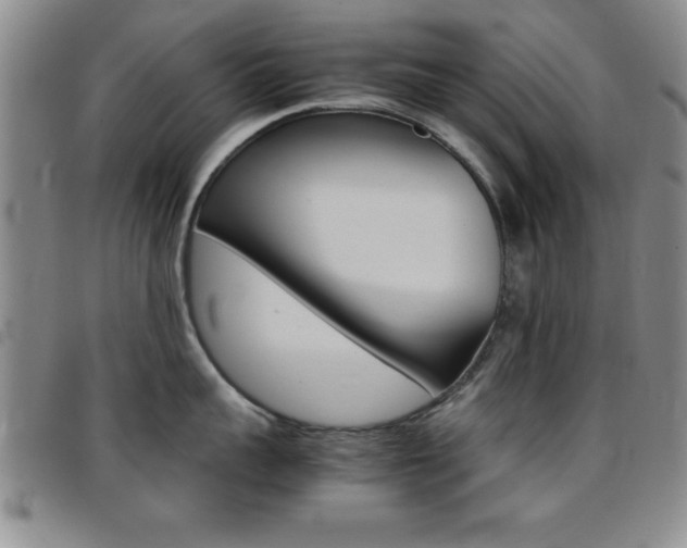 X0000097820959200803140803