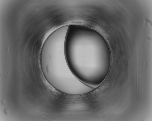 X0000097820960200803140803