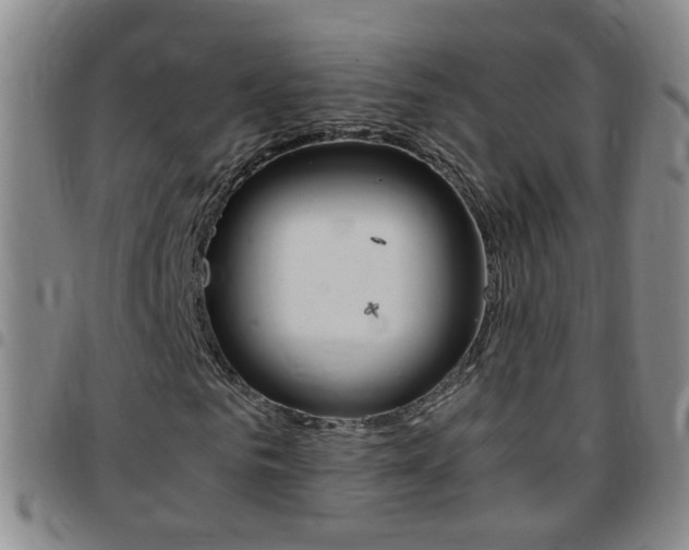 X0000097820961200803140802