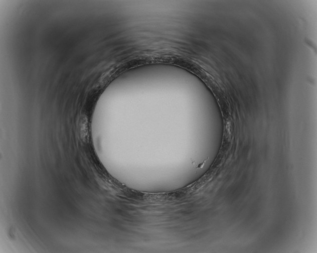 X0000097820963200803140802