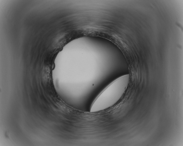 X0000097820964200803140802