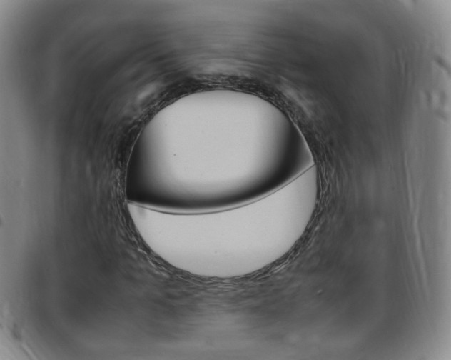 X0000097820965200803140802
