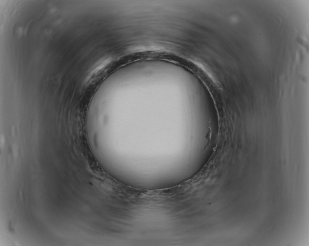 X0000097820967200803140802