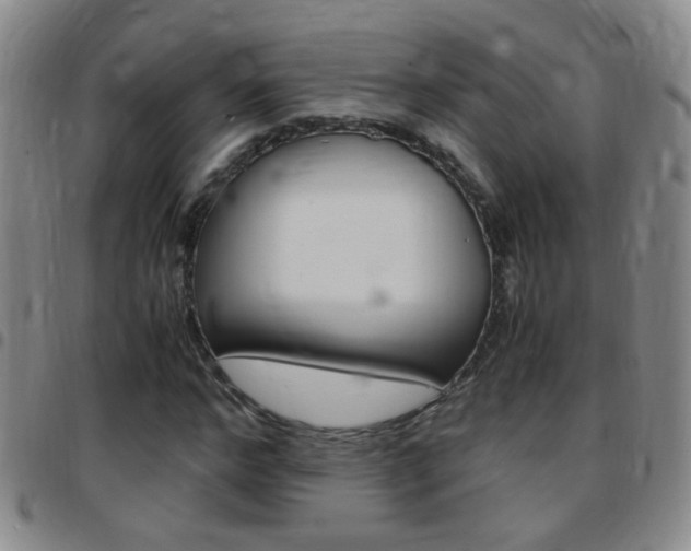 X0000097820968200803140802