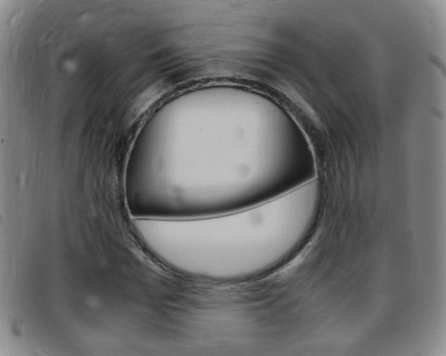 X0000097820969200803140802