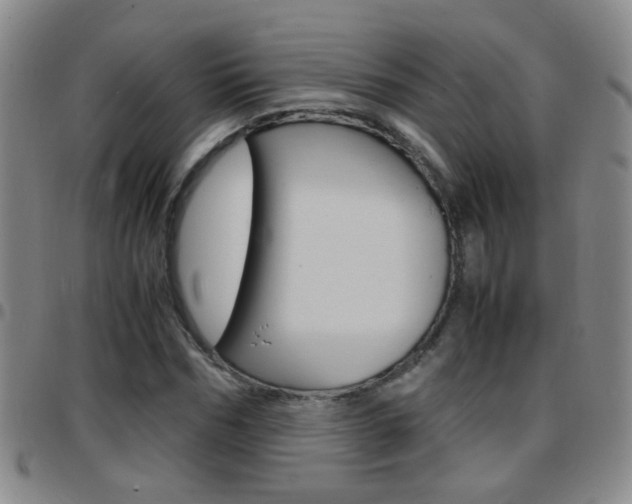 X0000097820970200803140802