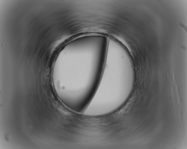 X0000097820971200803140802