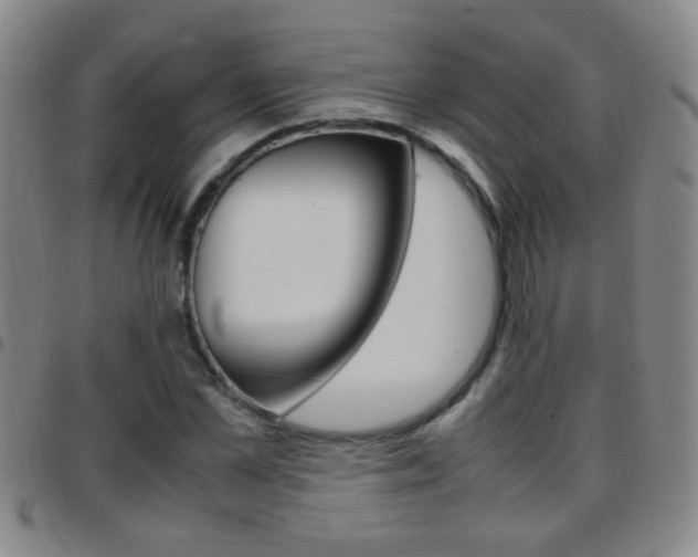 X0000097820973200803140802