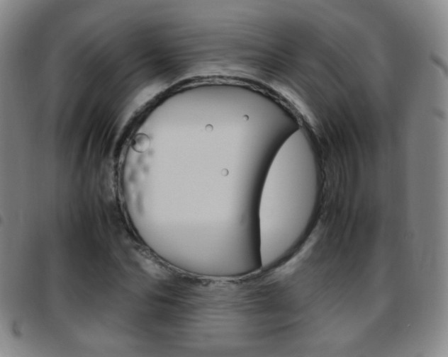 X0000097820974200803140802