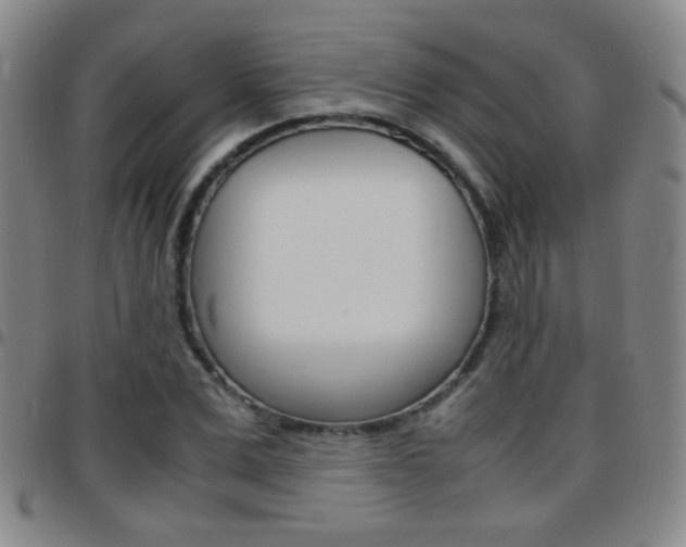 X0000097820975200803140802