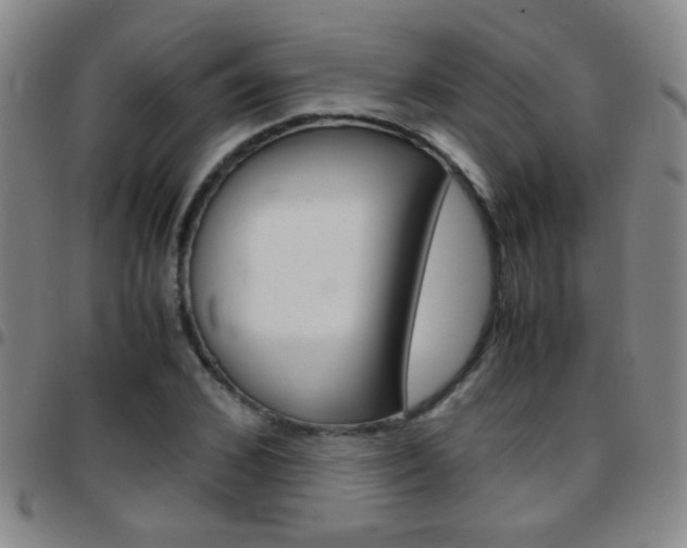 X0000097820976200803140802