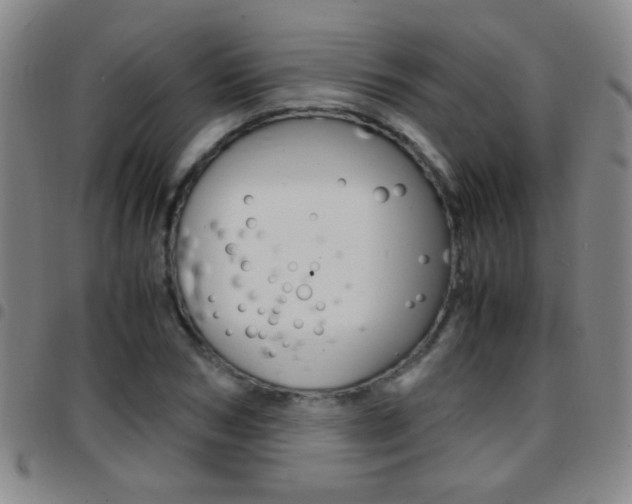 X0000097820978200803140802
