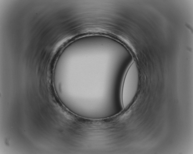 X0000097820979200803140802