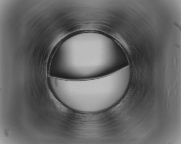 X0000097820980200803140802