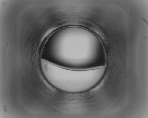 X0000097820981200803140802
