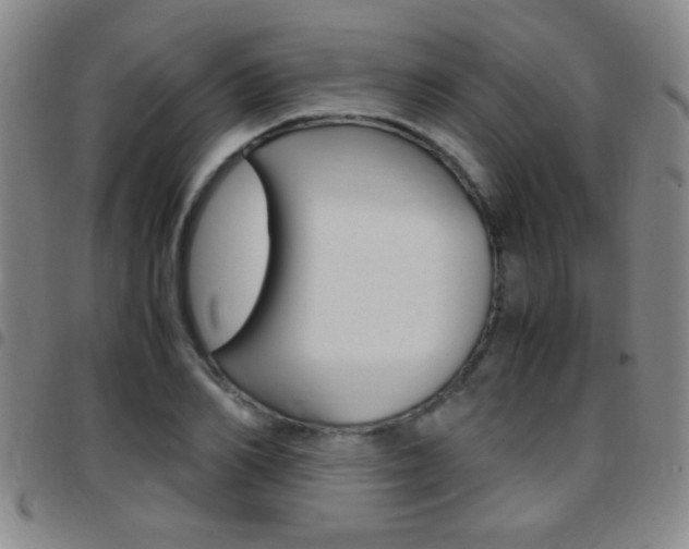 X0000097820982200803140802