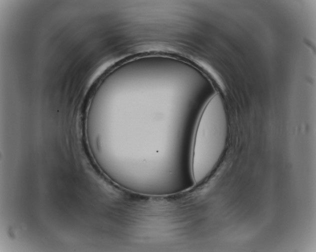 X0000097820983200803140802