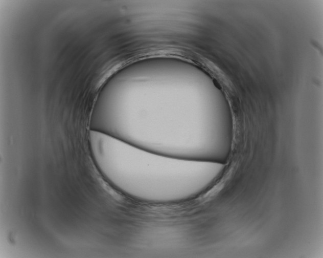 X0000097820985200803140802