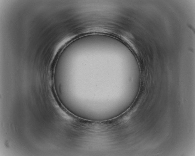 X0000097820987200803140802