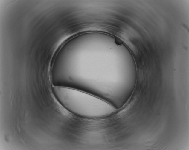 X0000097820988200803140802