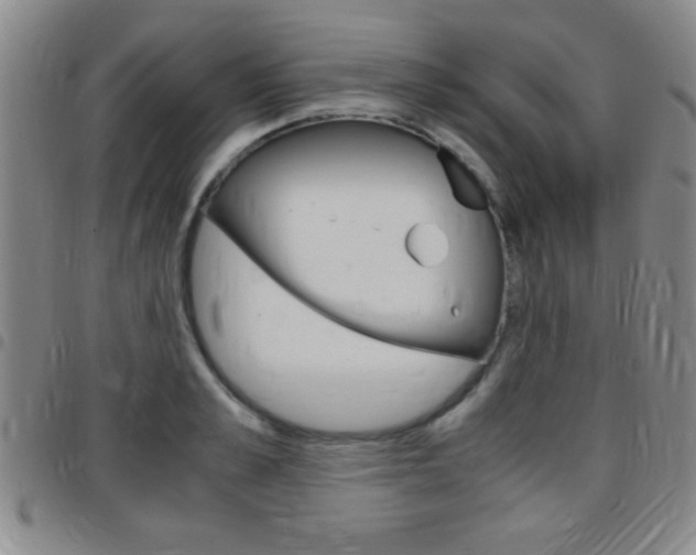 X0000097820989200803140802