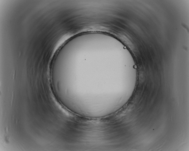 X0000097820990200803140802