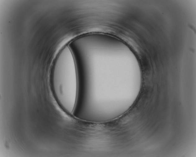 X0000097820991200803140802
