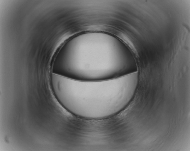 X0000097820992200803140802