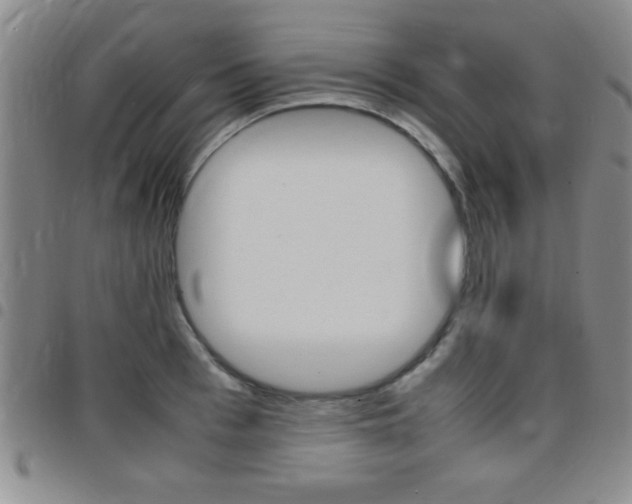 X0000097820993200803140802