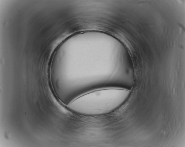 X0000097820995200803140802
