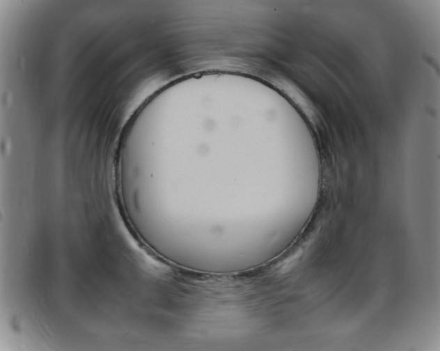 X0000097820999200803140802