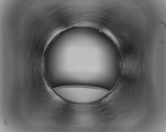 X0000097821000200803140802