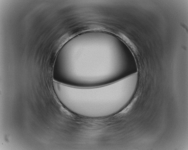 X0000097821001200803140802