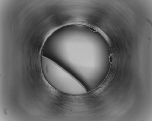 X0000097821004200803140802
