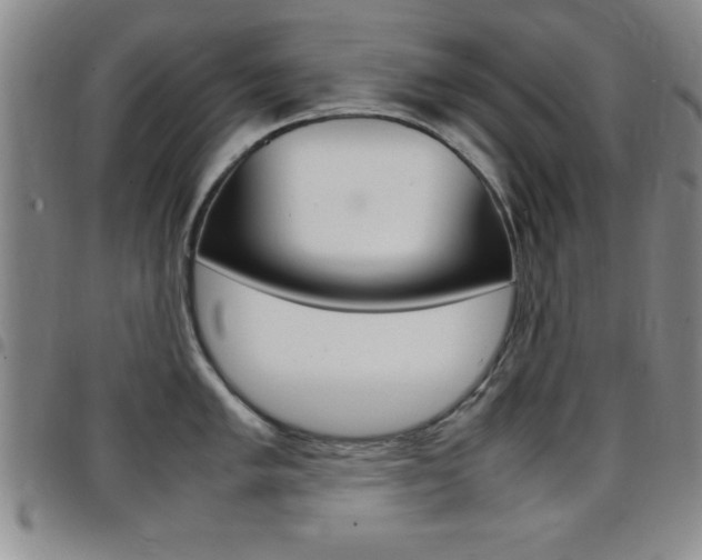 X0000097821005200803140802