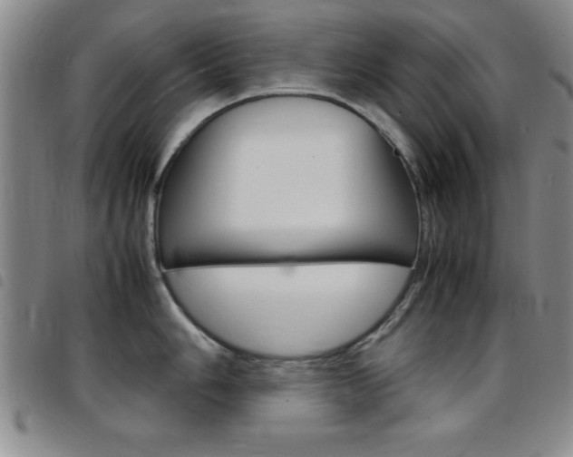 X0000097821006200803140802