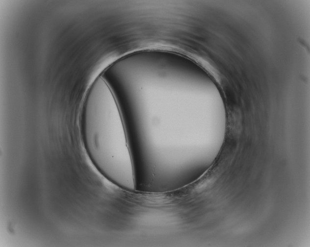 X0000097821007200803140802