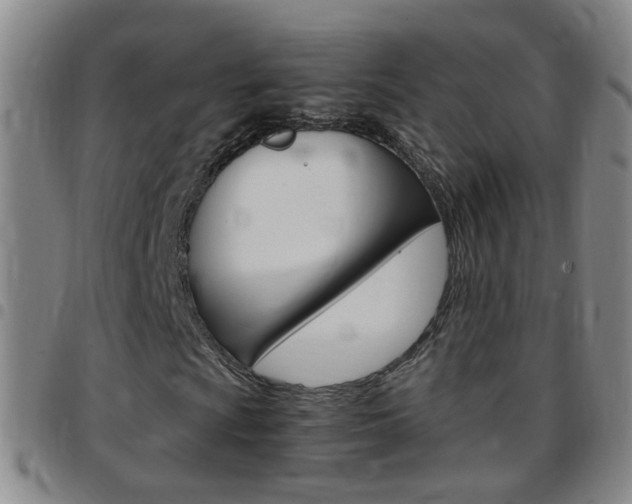 X0000097821009200803140801