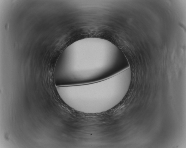 X0000097821010200803140801