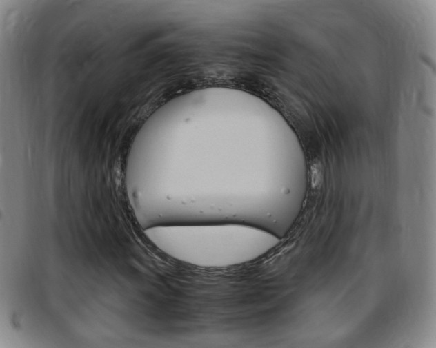 X0000097821011200803140801