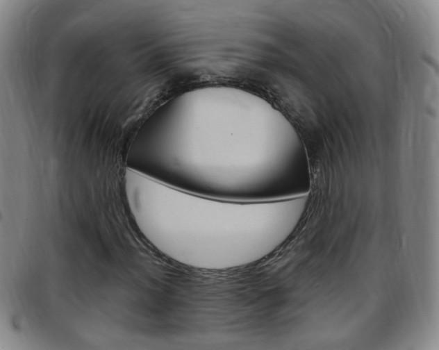 X0000097821012200803140801